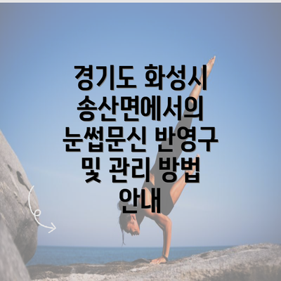 경기도 화성시 송산면에서의 눈썹문신 반영구 및 관리 방법 안내