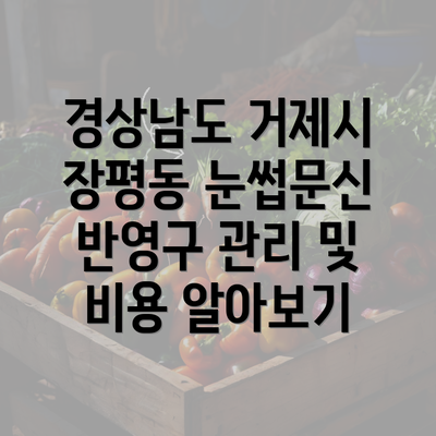 경상남도 거제시 장평동 눈썹문신 반영구 관리 및 비용 알아보기