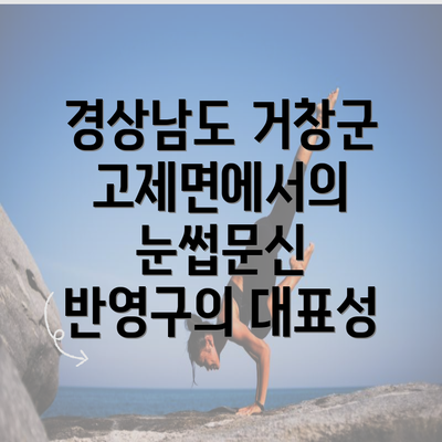 경상남도 거창군 고제면에서의 눈썹문신 반영구의 대표성