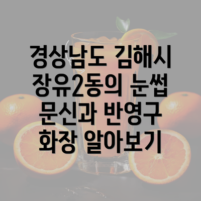 경상남도 김해시 장유2동의 눈썹 문신과 반영구 화장 알아보기