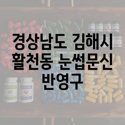 경상남도 김해시 활천동 눈썹문신 반영구