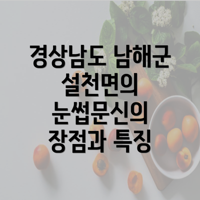 경상남도 남해군 설천면의 눈썹문신의 장점과 특징