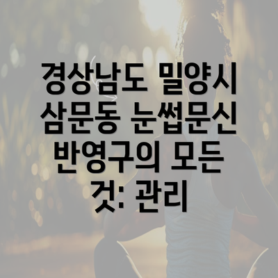 경상남도 밀양시 삼문동 눈썹문신 반영구의 모든 것: 관리