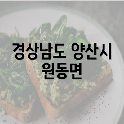 경상남도 양산시 원동면