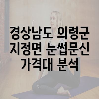 경상남도 의령군 지정면 눈썹문신 가격대 분석