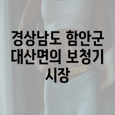 경상남도 함안군 대산면의 보청기 시장