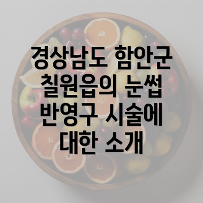 경상남도 함안군 칠원읍의 눈썹 반영구 시술에 대한 소개