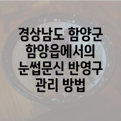 경상남도 함양군 함양읍에서의 눈썹문신 반영구 관리 방법