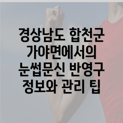 경상남도 합천군 가야면에서의 눈썹문신 반영구 정보와 관리 팁