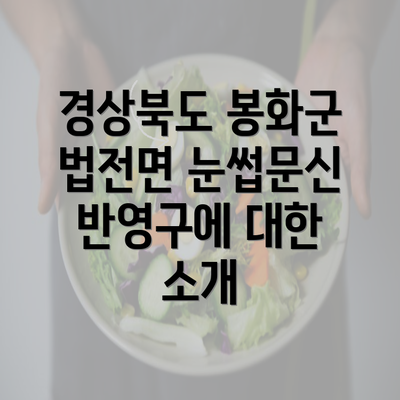 경상북도 봉화군 법전면 눈썹문신 반영구에 대한 소개