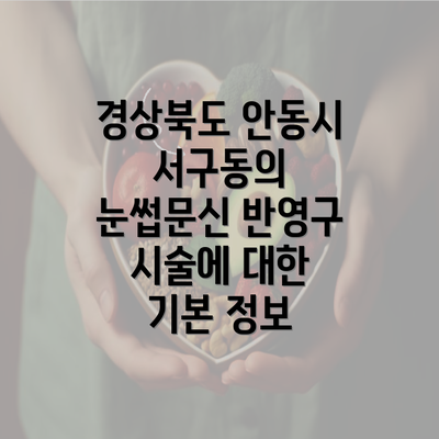 경상북도 안동시 서구동의 눈썹문신 반영구 시술에 대한 기본 정보