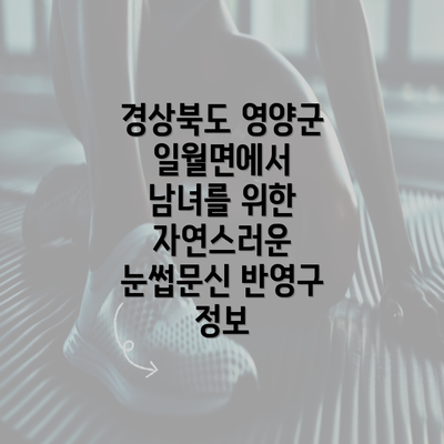 경상북도 영양군 일월면에서 남녀를 위한 자연스러운 눈썹문신 반영구 정보