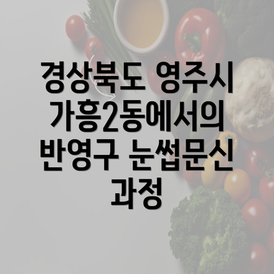 경상북도 영주시 가흥2동에서의 반영구 눈썹문신 과정