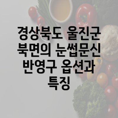 경상북도 울진군 북면의 눈썹문신 반영구 옵션과 특징