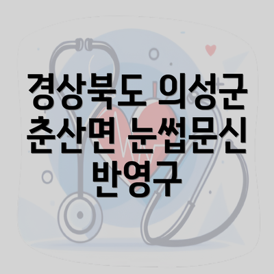 경상북도 의성군 춘산면 눈썹문신 반영구