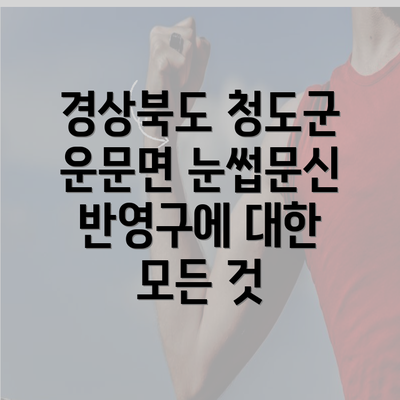 경상북도 청도군 운문면 눈썹문신 반영구에 대한 모든 것