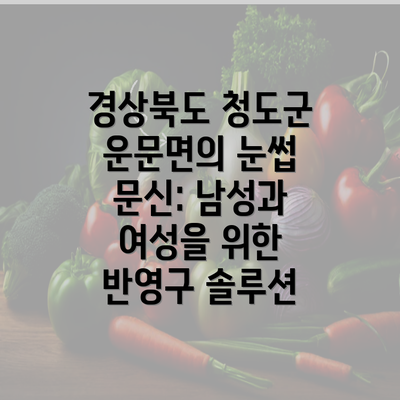 경상북도 청도군 운문면의 눈썹 문신: 남성과 여성을 위한 반영구 솔루션