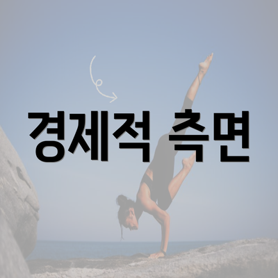 경제적 측면