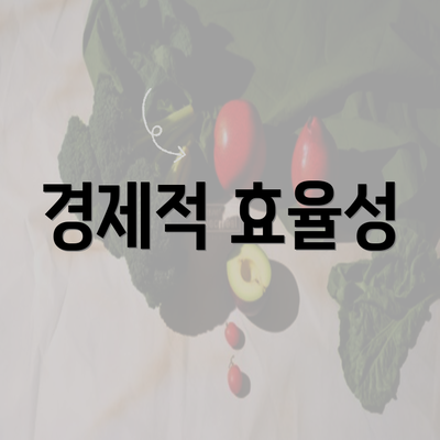 경제적 효율성