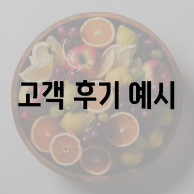 고객 후기 예시