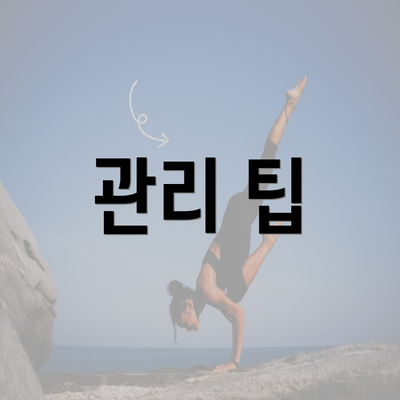 관리 팁