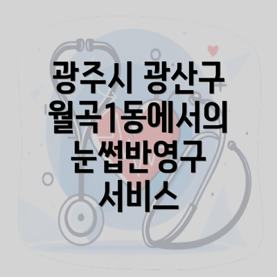 광주시 광산구 월곡1동에서의 눈썹반영구 서비스