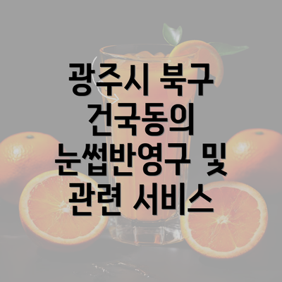 광주시 북구 건국동의 눈썹반영구 및 관련 서비스