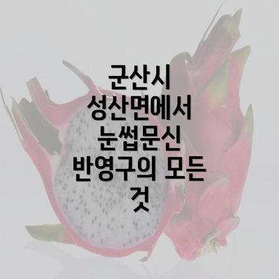 군산시 성산면에서 눈썹문신 반영구의 모든 것