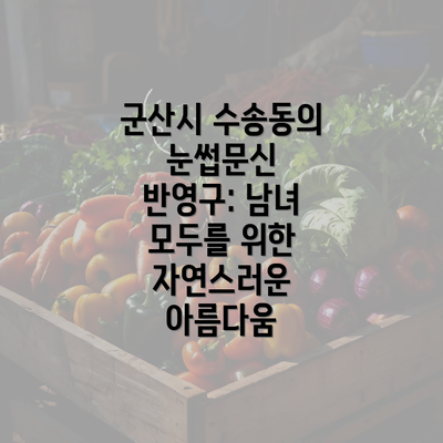 군산시 수송동의 눈썹문신 반영구: 남녀 모두를 위한 자연스러운 아름다움