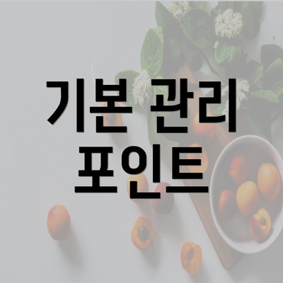 기본 관리 포인트