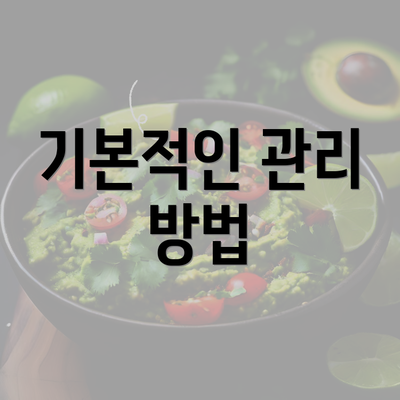 기본적인 관리 방법