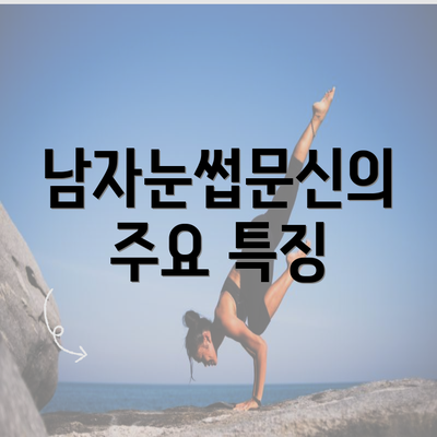 남자눈썹문신의 주요 특징