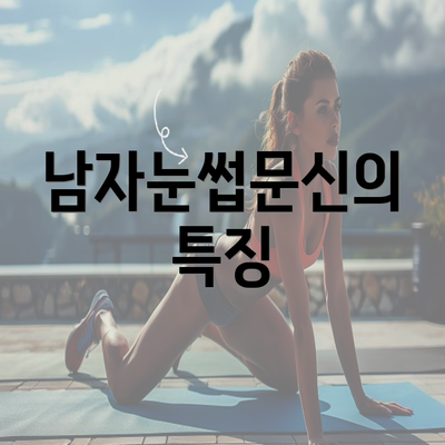 남자눈썹문신의 특징