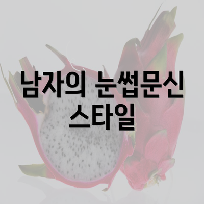 남자의 눈썹문신 스타일