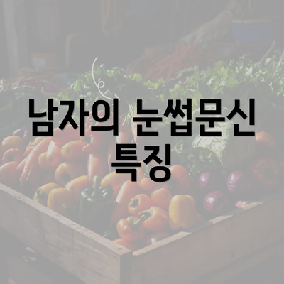 남자의 눈썹문신 특징