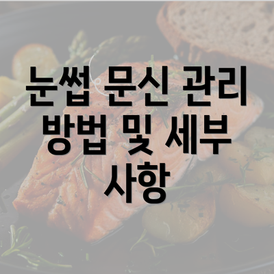 눈썹 문신 관리 방법 및 세부 사항