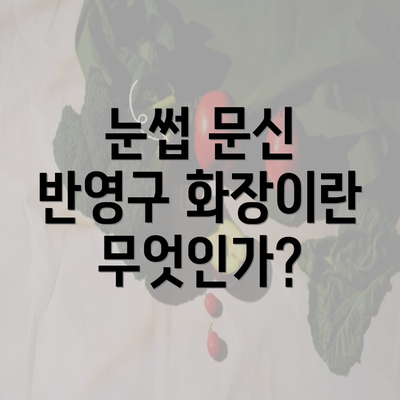 눈썹 문신 반영구 화장이란 무엇인가?