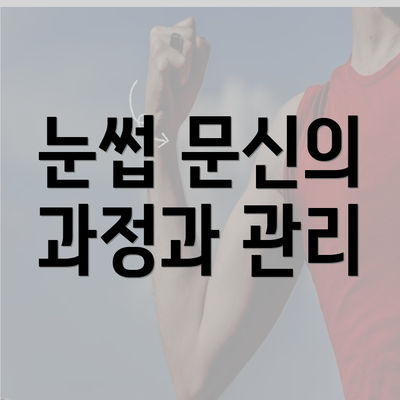 눈썹 문신의 과정과 관리