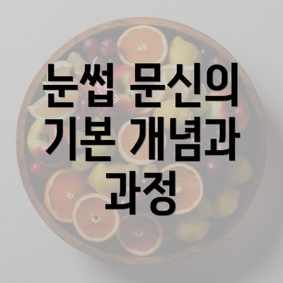 눈썹 문신의 기본 개념과 과정