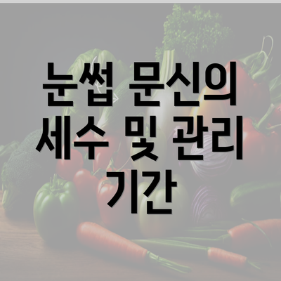 눈썹 문신의 세수 및 관리 기간