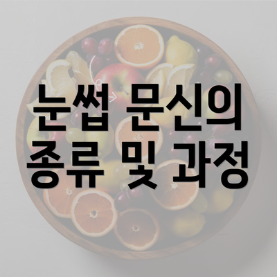 눈썹 문신의 종류 및 과정