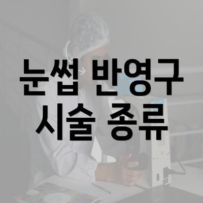 눈썹 반영구 시술 종류