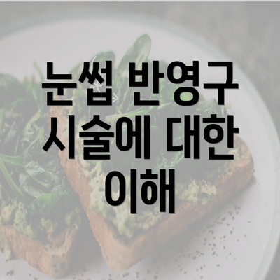 눈썹 반영구 시술에 대한 이해