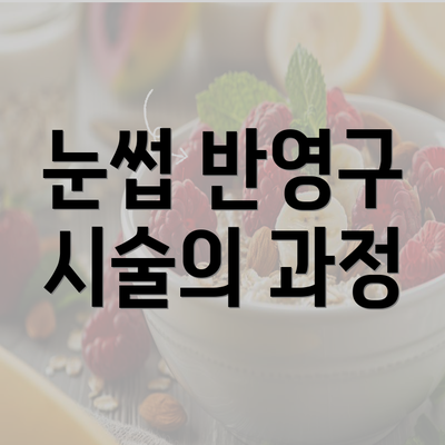 눈썹 반영구 시술의 과정