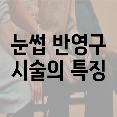 눈썹 반영구 시술의 특징