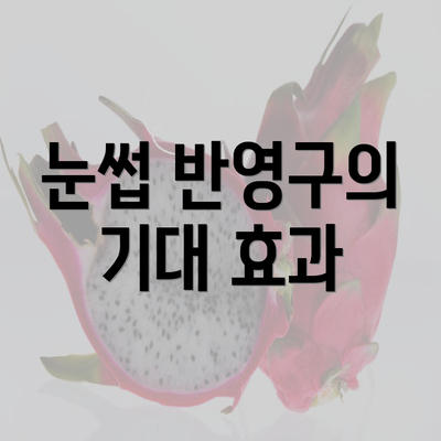 눈썹 반영구의 기대 효과