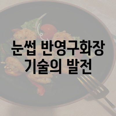 눈썹 반영구화장 기술의 발전