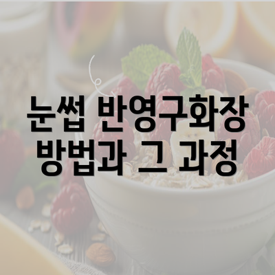 눈썹 반영구화장 방법과 그 과정