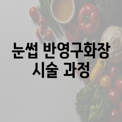 눈썹 반영구화장 시술 과정