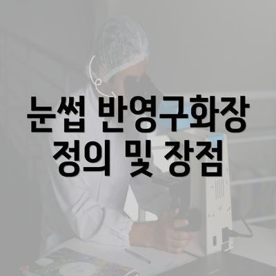 눈썹 반영구화장 정의 및 장점